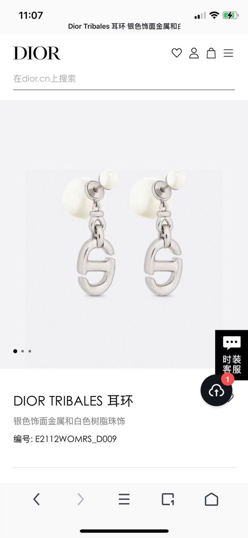 Christian Dior Earrings